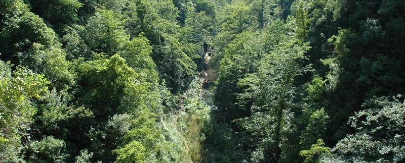 adenvadi1