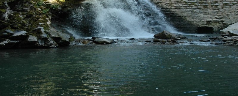 selale