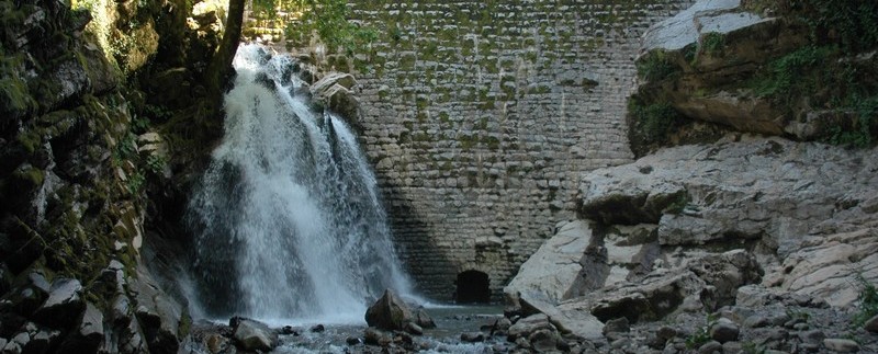 selale1